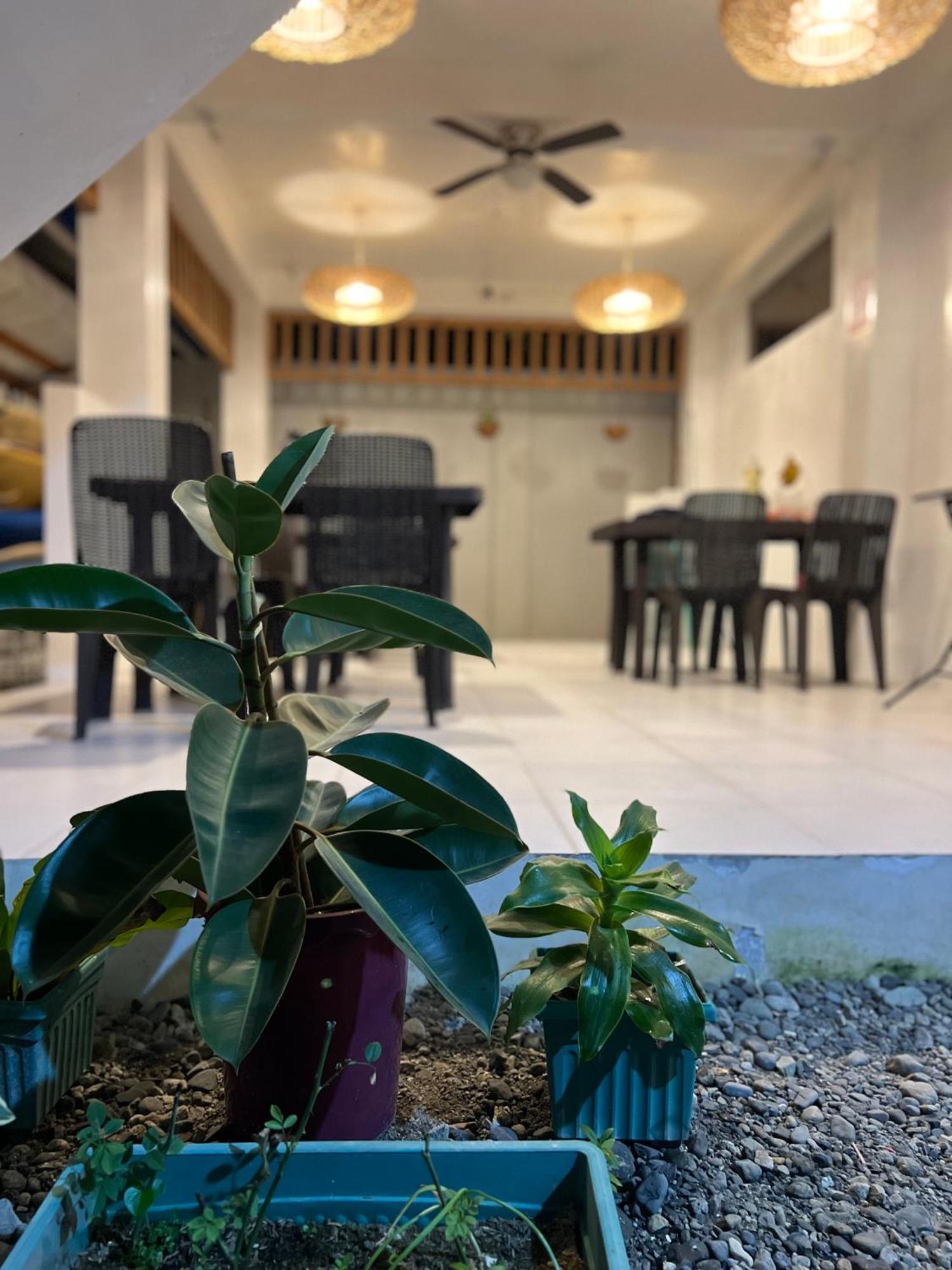 Sunny Terrace Hotel Baler Kültér fotó
